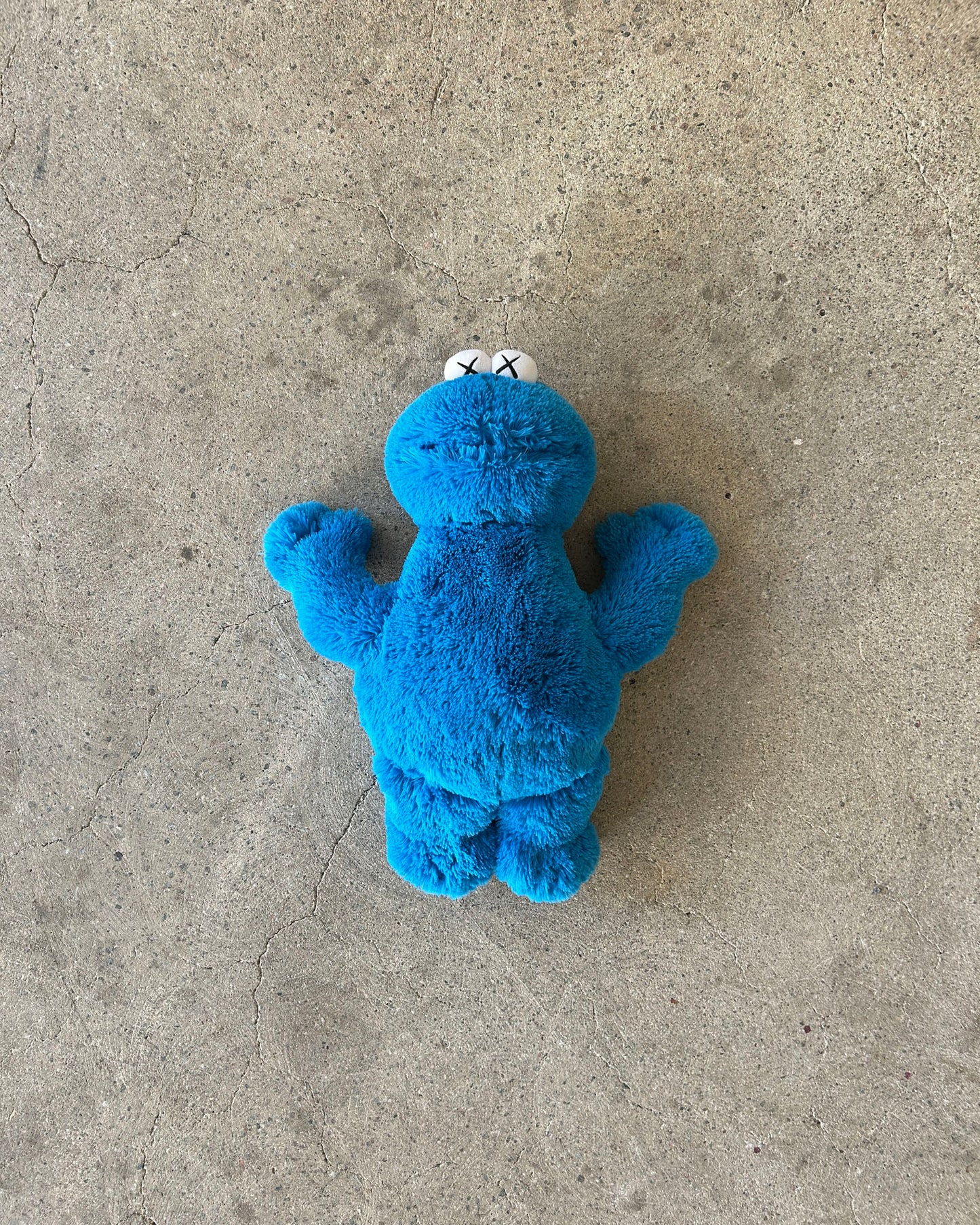 kaws x cookie monster