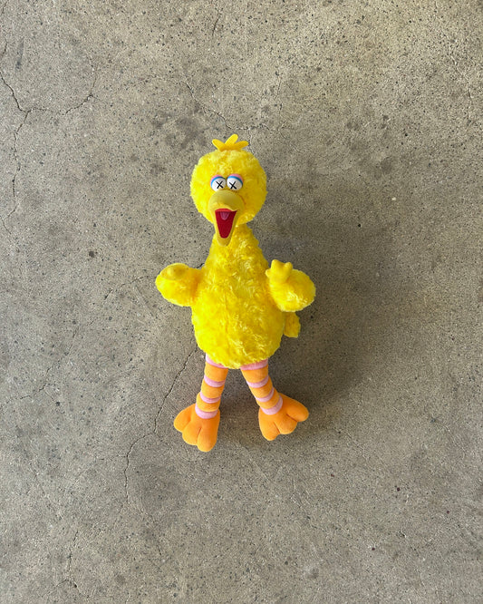 kaws x big bird