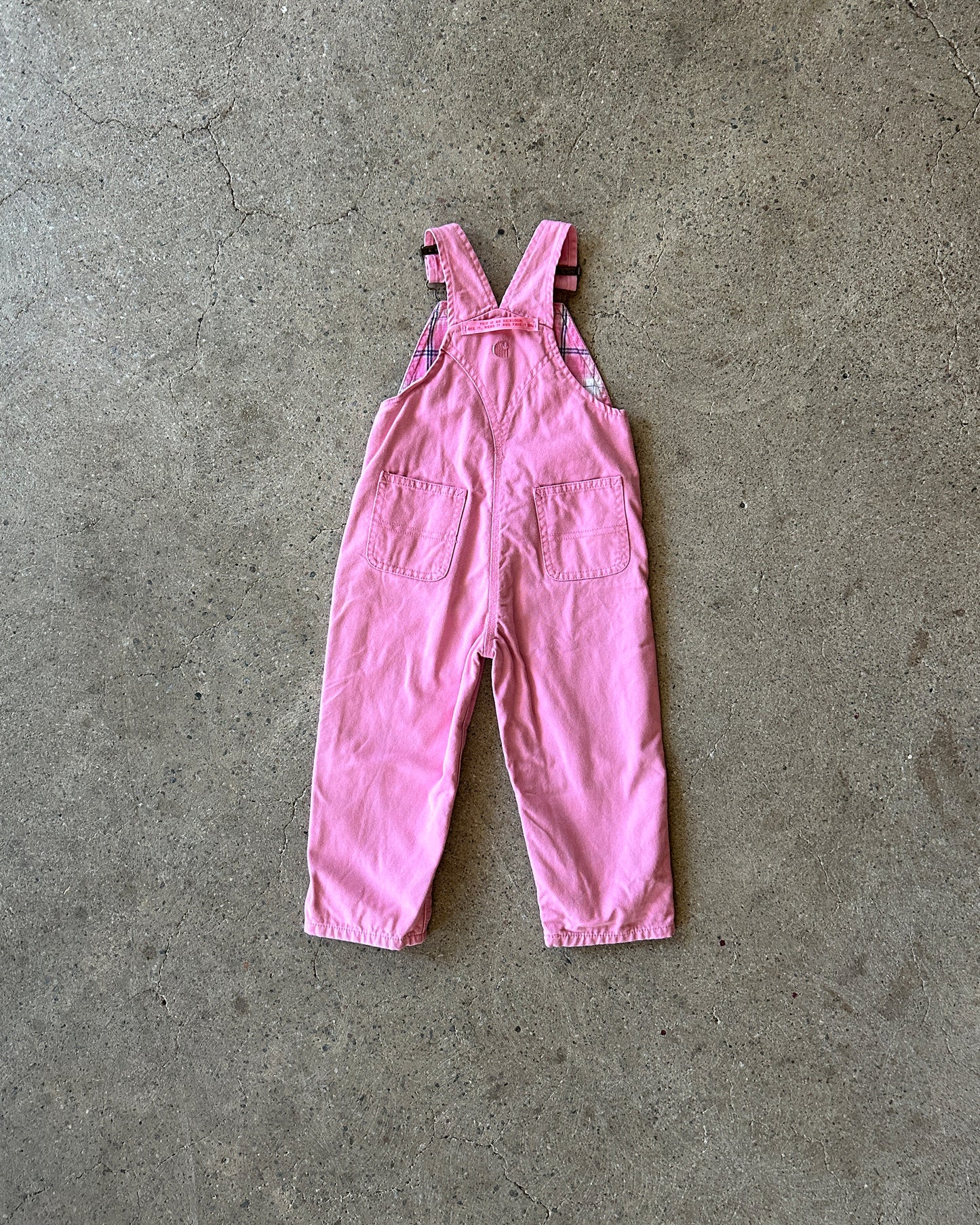 carhartt heavy canvas dungarees