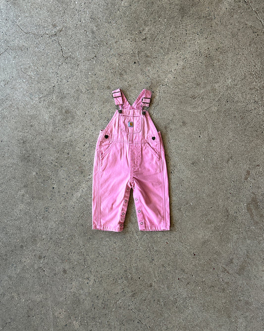 carhartt heavy canvas dungarees