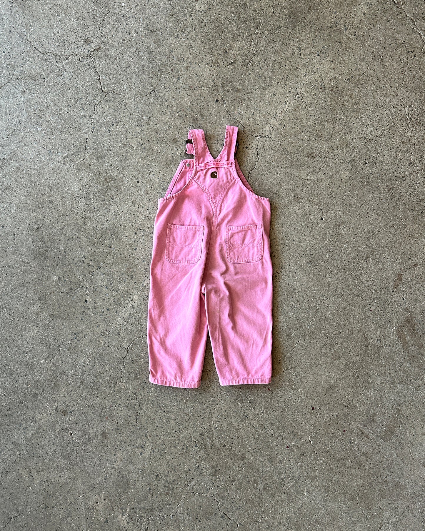 carhartt heavy canvas dungarees