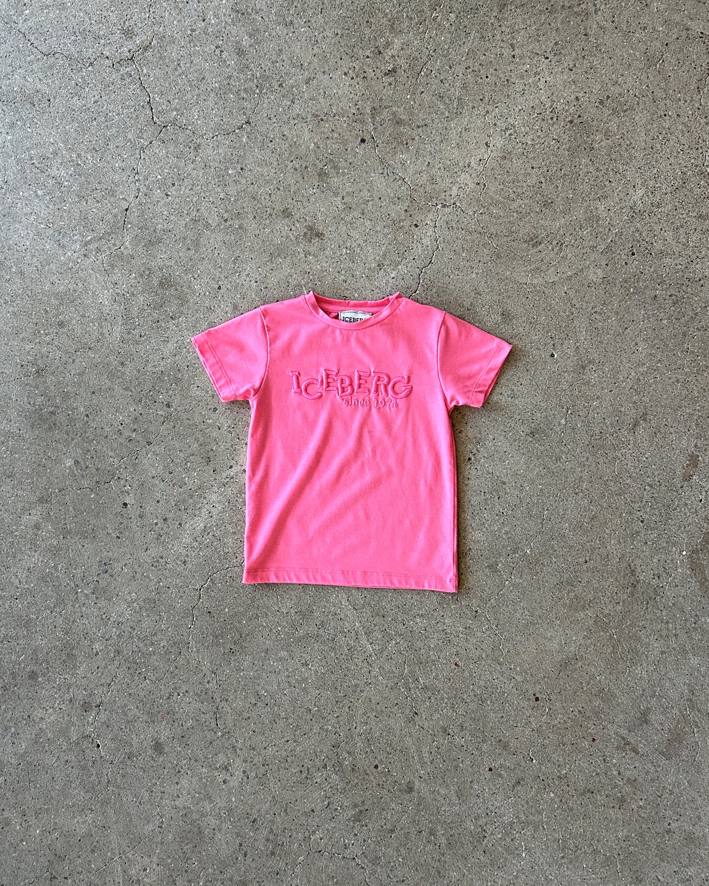 iceberg t-shirt